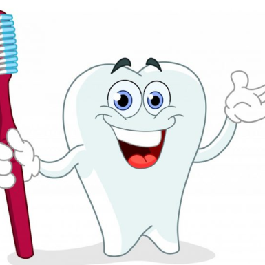 Hiểu Hơn Về Răng Và Mô Quanh Răng – Nha Khoa Xinh Xinh