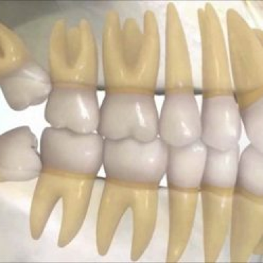 ĐAU RĂNG VÀ NHỮNG ĐIỀU CÓ THỂ BẠN CHƯA BIẾT