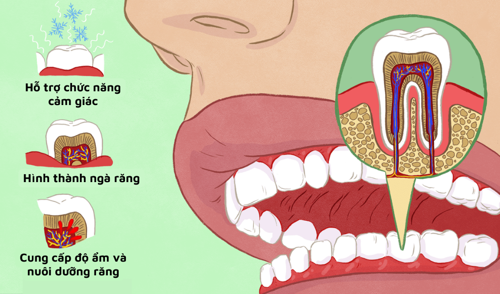 Ưu điểm của phương pháp điều trị viêm tuỷ