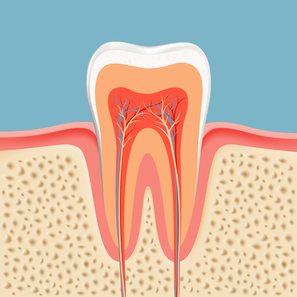 Cách Bảo Vệ Răng Sau Khi Chữa Tủy Răng