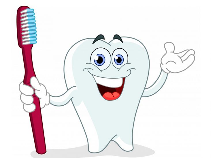 Hiểu Hơn Về Răng Và Mô Quanh Răng – Nha Khoa Xinh Xinh